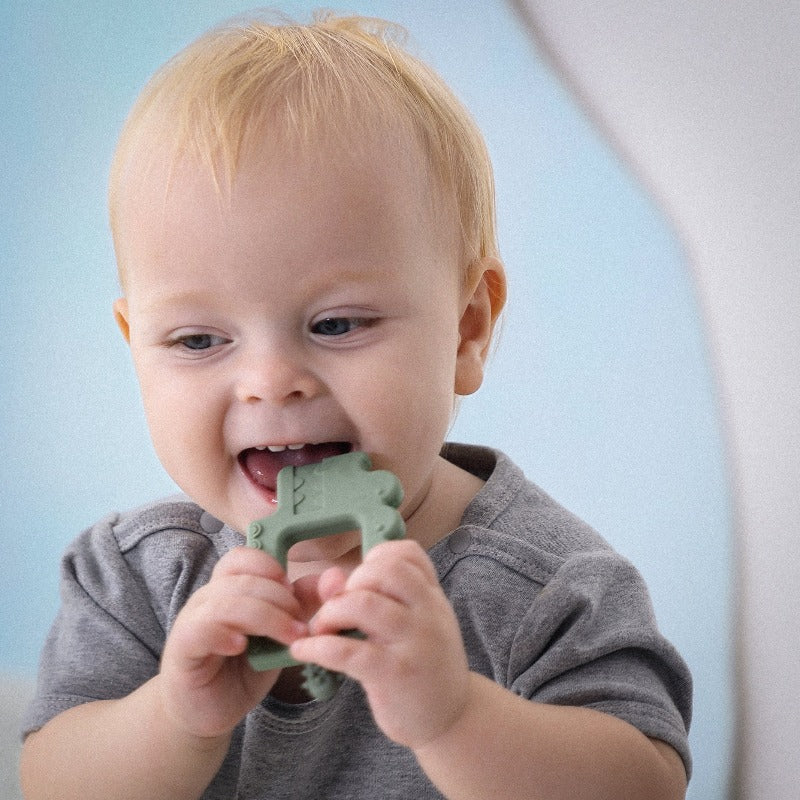 Ally the Alligator Teething Toy