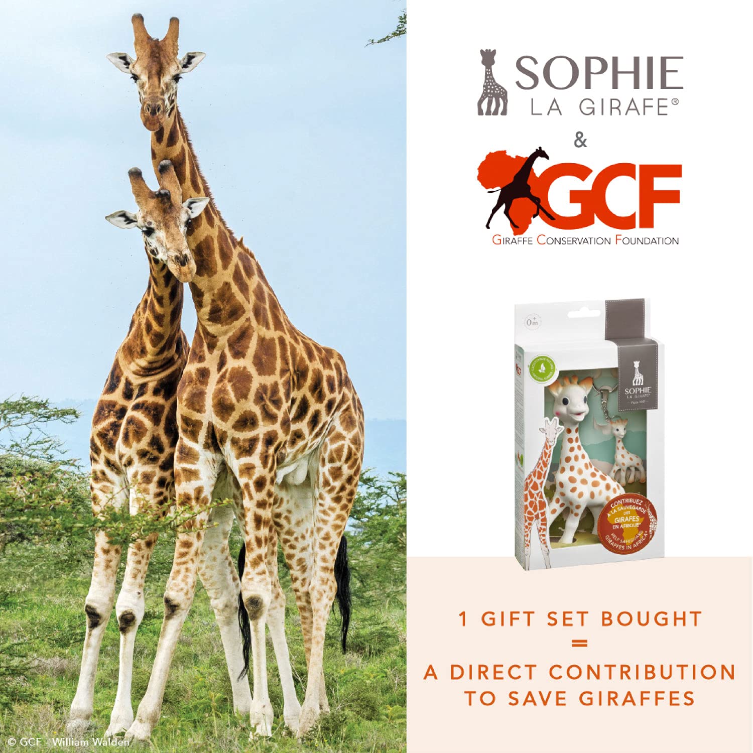 Sophie la girafe | Handcrafted for 60 Years in France | Natural Rubber | Designed for Teething Babies | Awaken All 5 Senses | Easy to Clean | Pack of 1