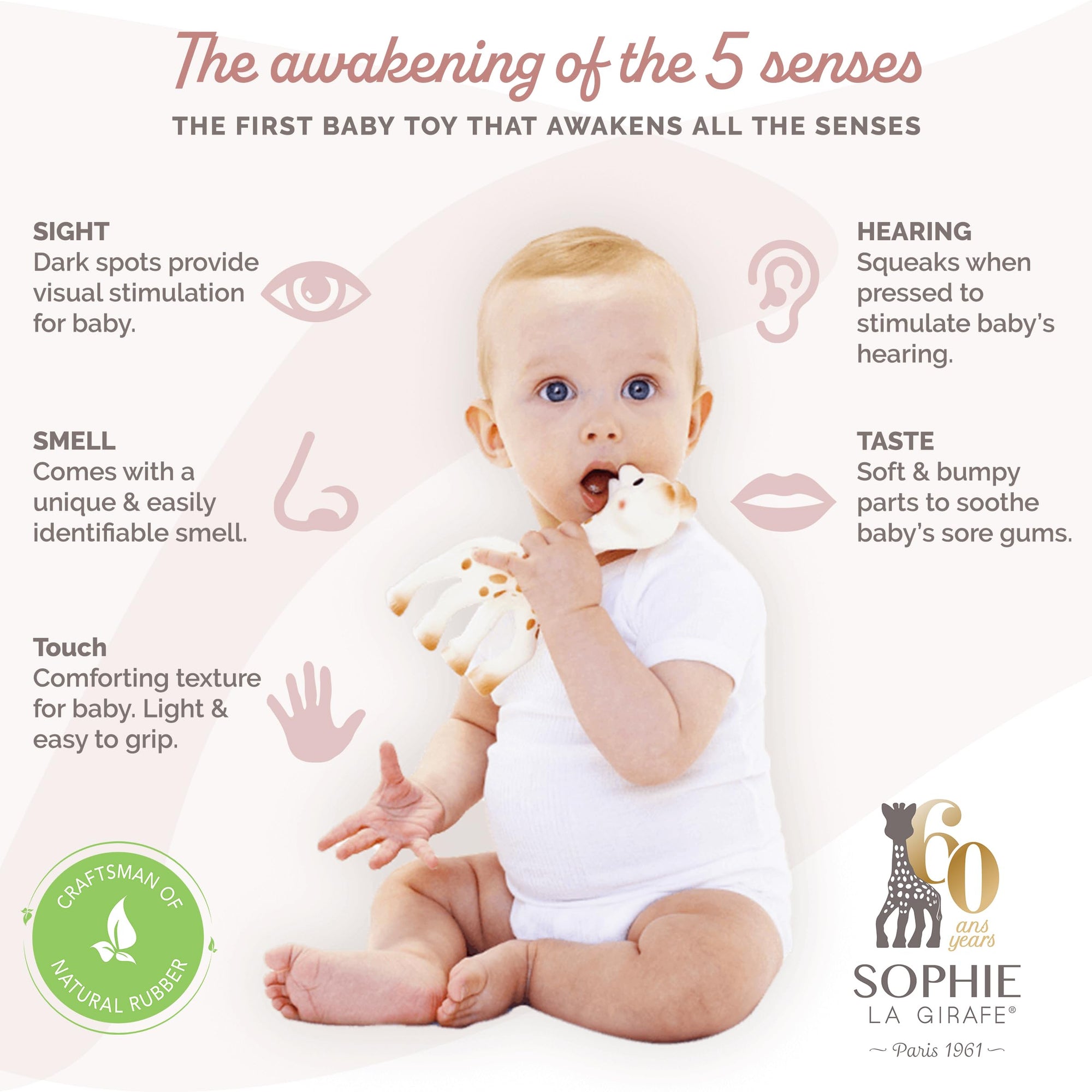 Sophie la girafe | Handcrafted for 60 Years in France | Natural Rubber | Designed for Teething Babies | Awaken All 5 Senses | Easy to Clean | Pack of 1